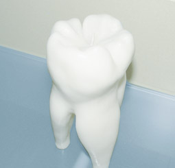 Zahnwurzelkanäle werden von Bakterien befreit..
